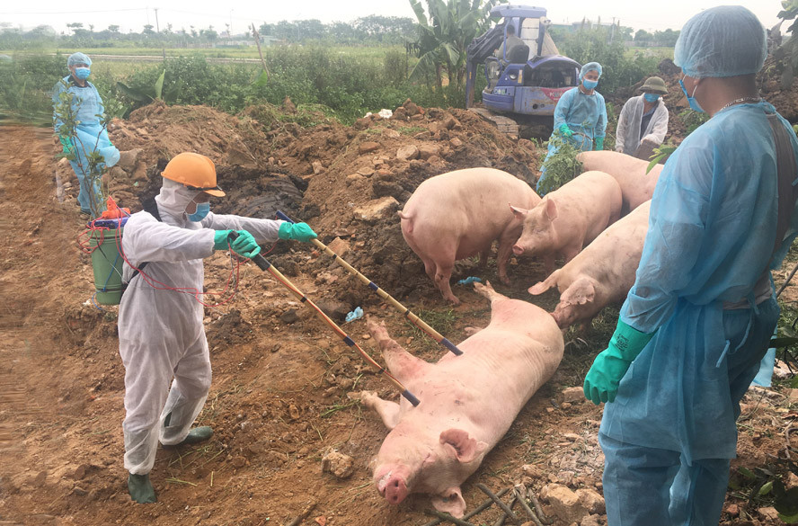 CHUYỂN ĐỘNG THÁNG 2 - DIỄN BIẾN DỊCH BỆNH TRÊN CẢ NƯỚC 1b9fccfa74f1a9aff0e0