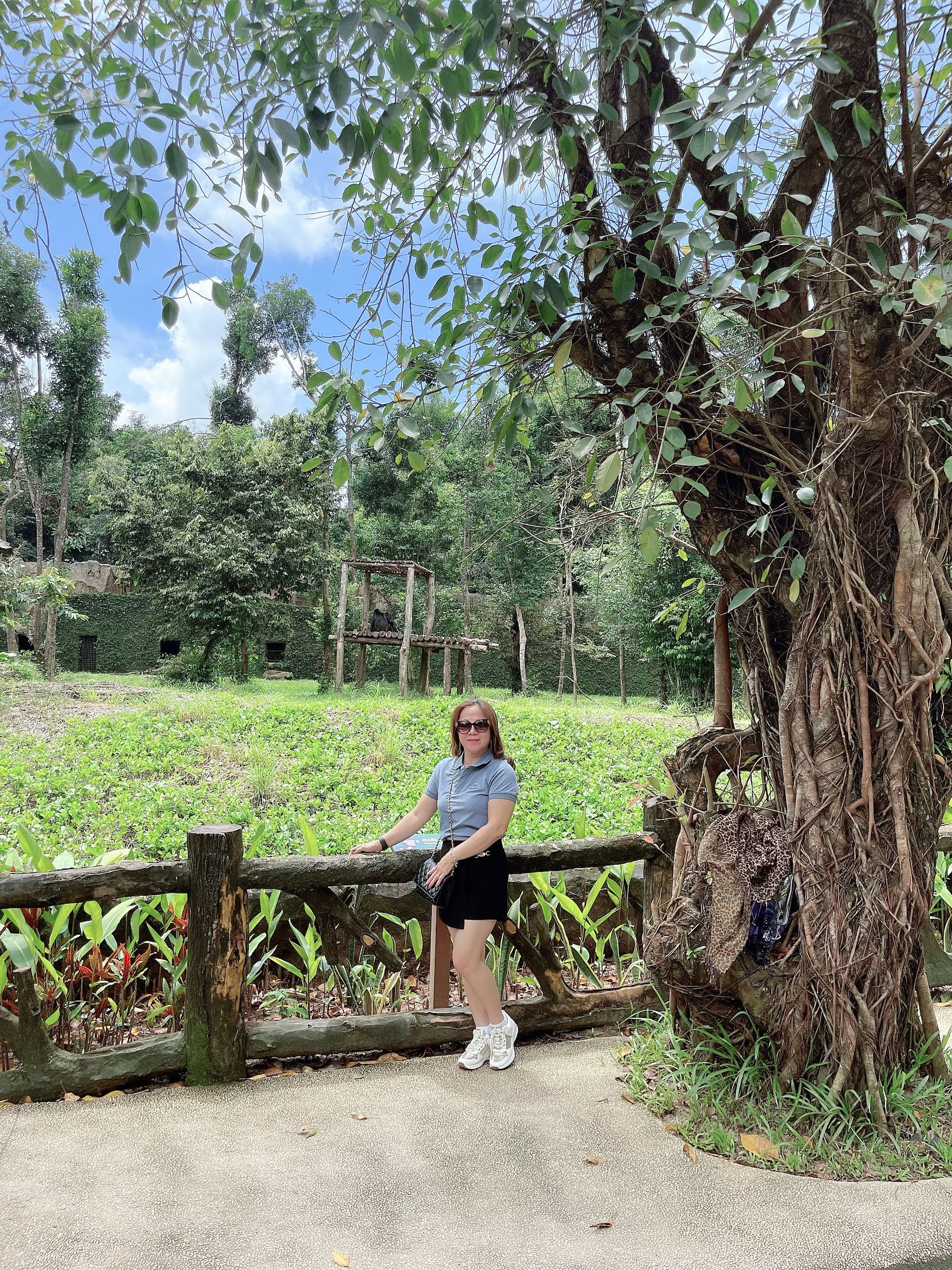 z4221171839832 9207e700a350ae3170da12a72bdc193f