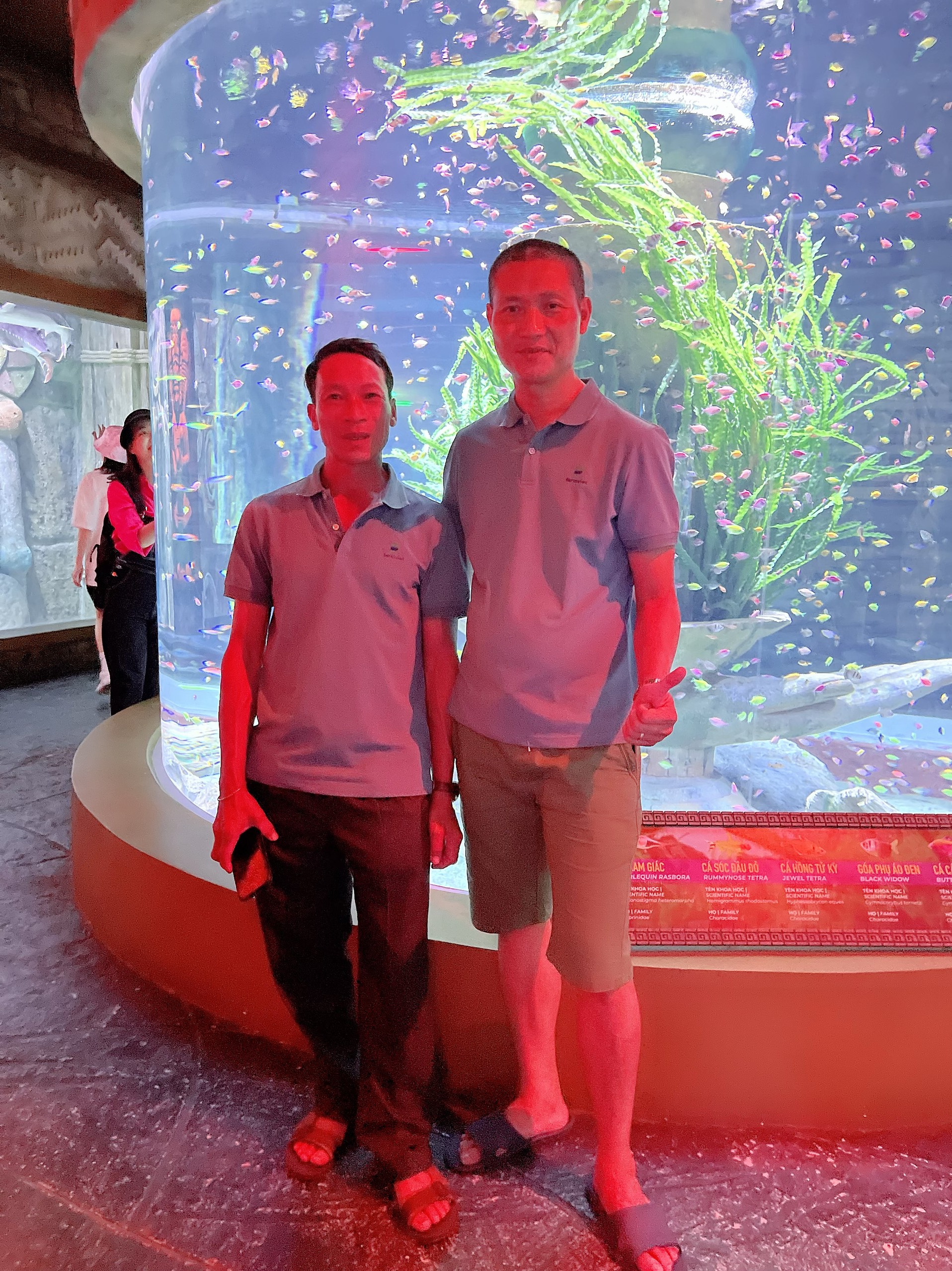 z4221173083244 f087dbec104cf2cf16490c3ab676153e