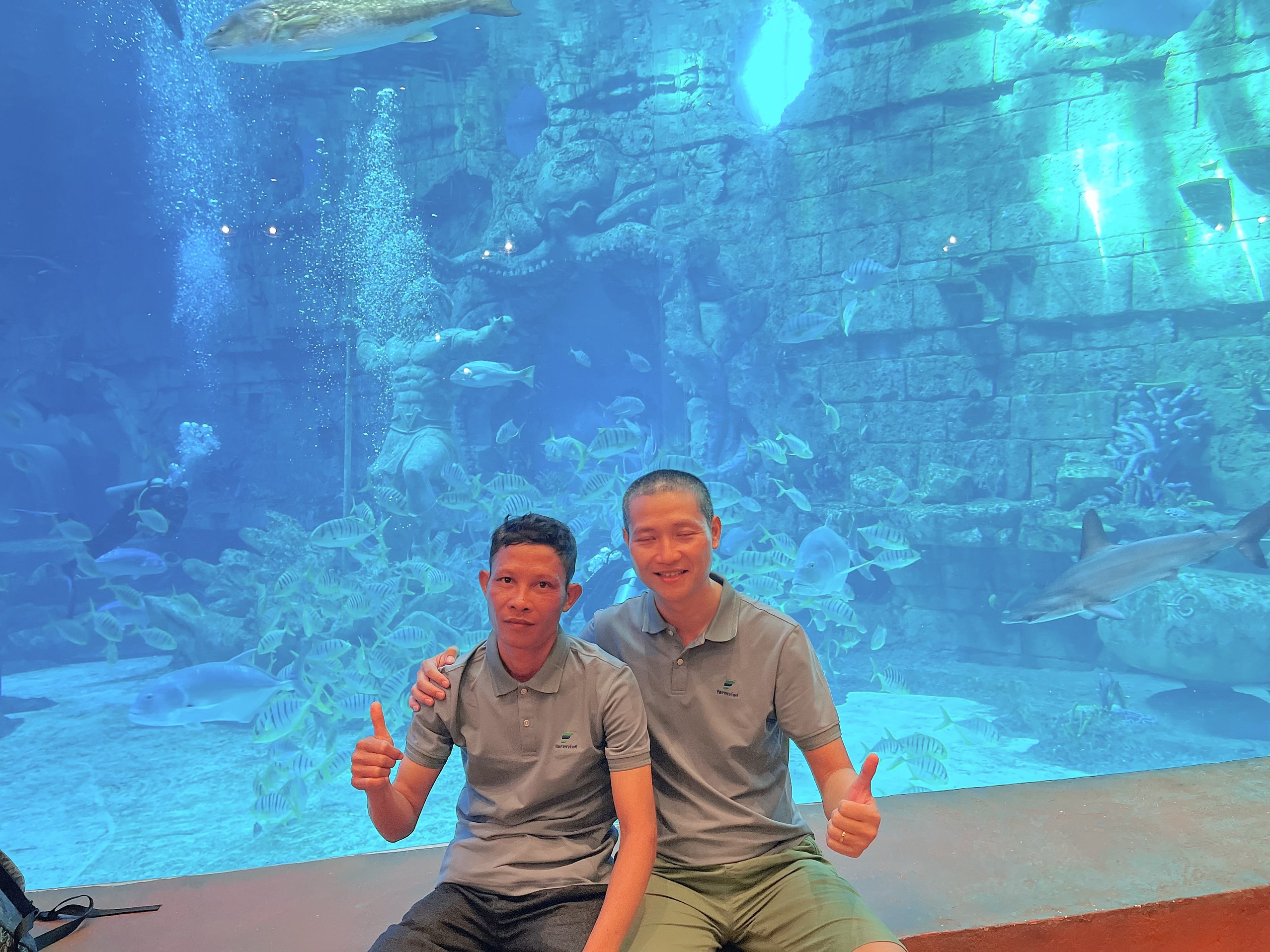 z4221173128310 2d2c132da25fc8f20d92a1fba05bcdb9