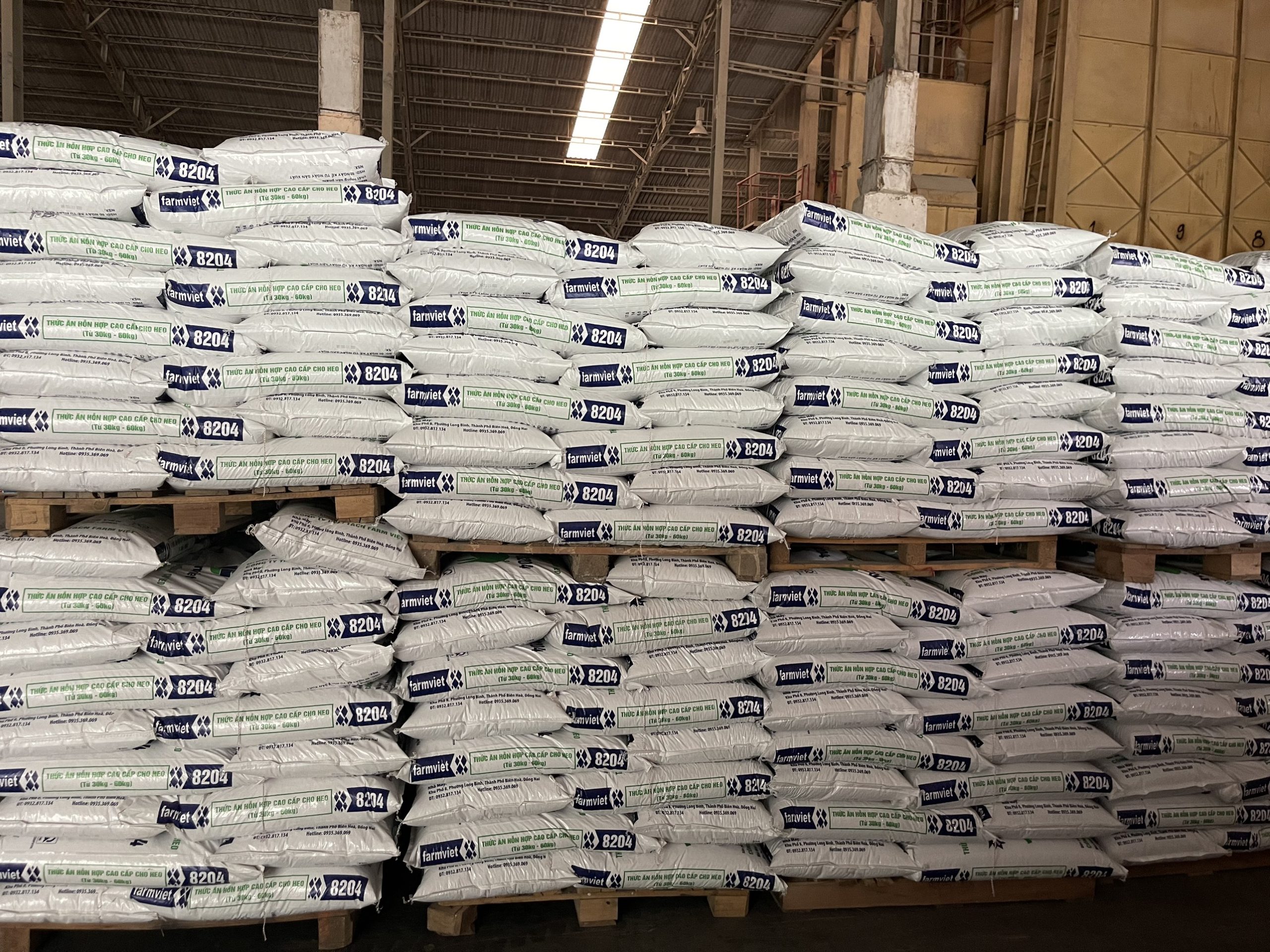 z4221205473258 57f8d46d3e7d4b4f677b2974e991ee19 scaled