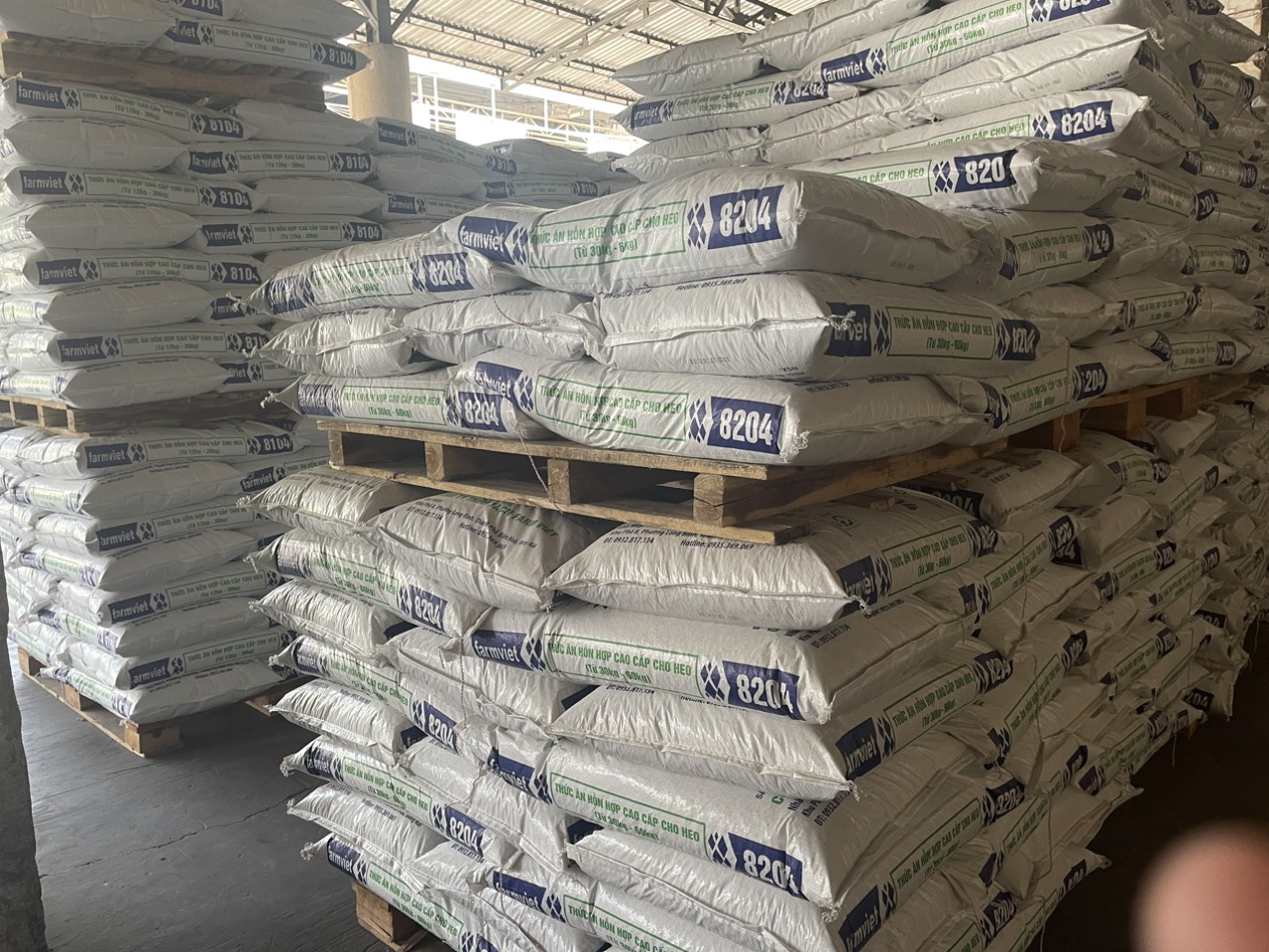 z4221206631550 67b34c32be815fddc380462cb690ec45