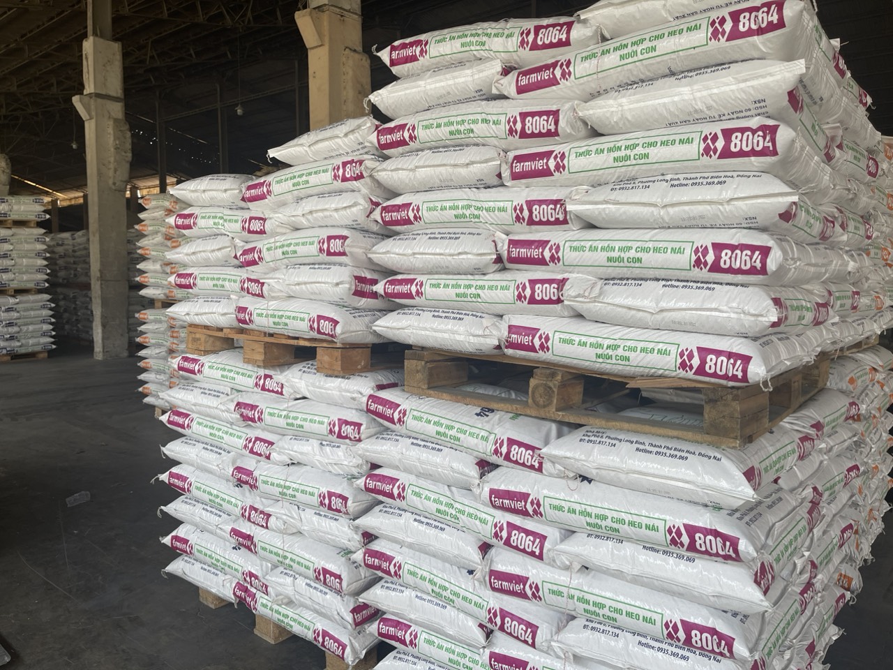 z4221206639021 a816094f5c41f74a0c404ec5baa8d5b1