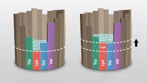 Giảm protein thô trong khẩu phần ăn giúp tăng cường hiệu quả chăn nuôi gia cầm Acid amin